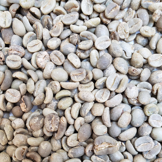 close up of assorted green coffee beans mixed together