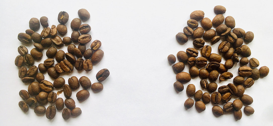How to Roast Coffee at Home, Chapter 2: Is Manual Mode on the Behmor Worth the Effort?