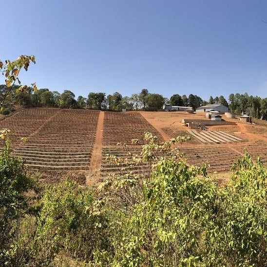 panoramic view of the Dame Dabaya coffee mill in Kercha Ethiopia.