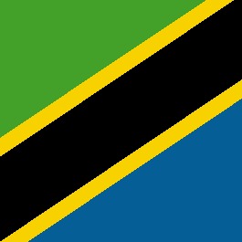 flag of tanzania a country that is famous for its peaberry green coffee beans. most coffee beans grow as twins, but peaberry is a single coffee bean when it is on the tree