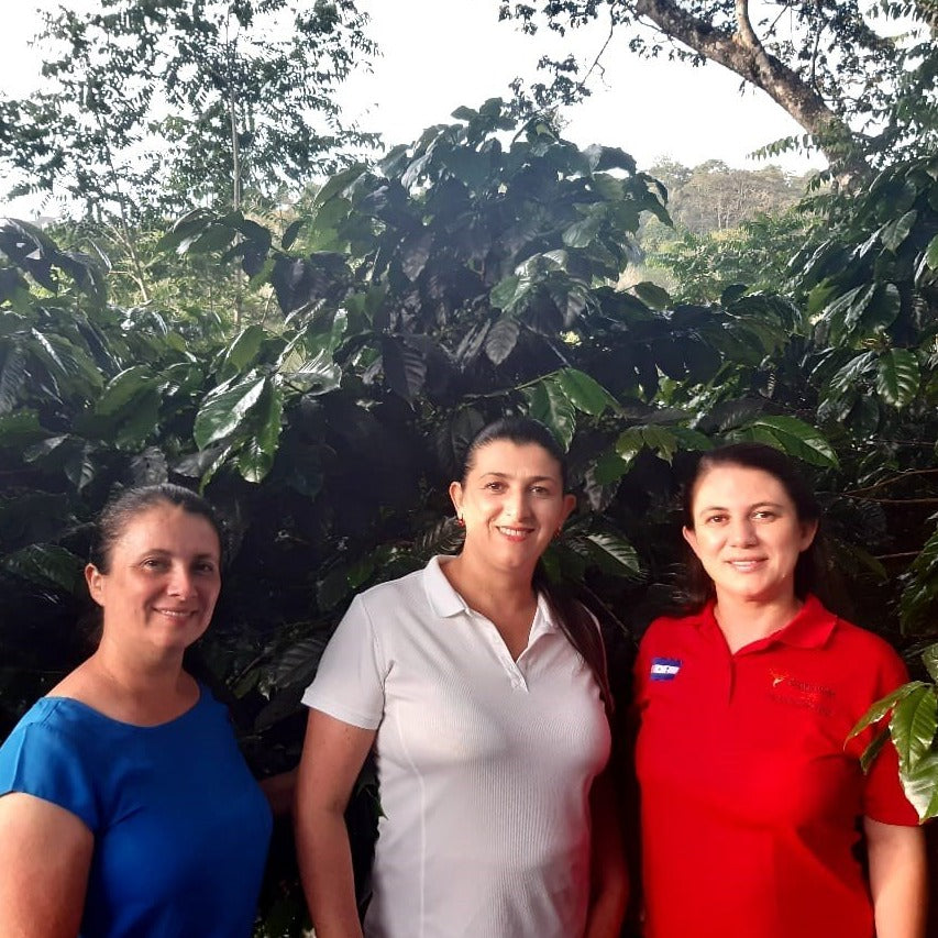 Sisters, Iris, Ana Isabel, and Lourdes Alvaradao standing in front of coffee trees on their farm, El Gorioncillo or "hummingbird" in Copan, Honduras.