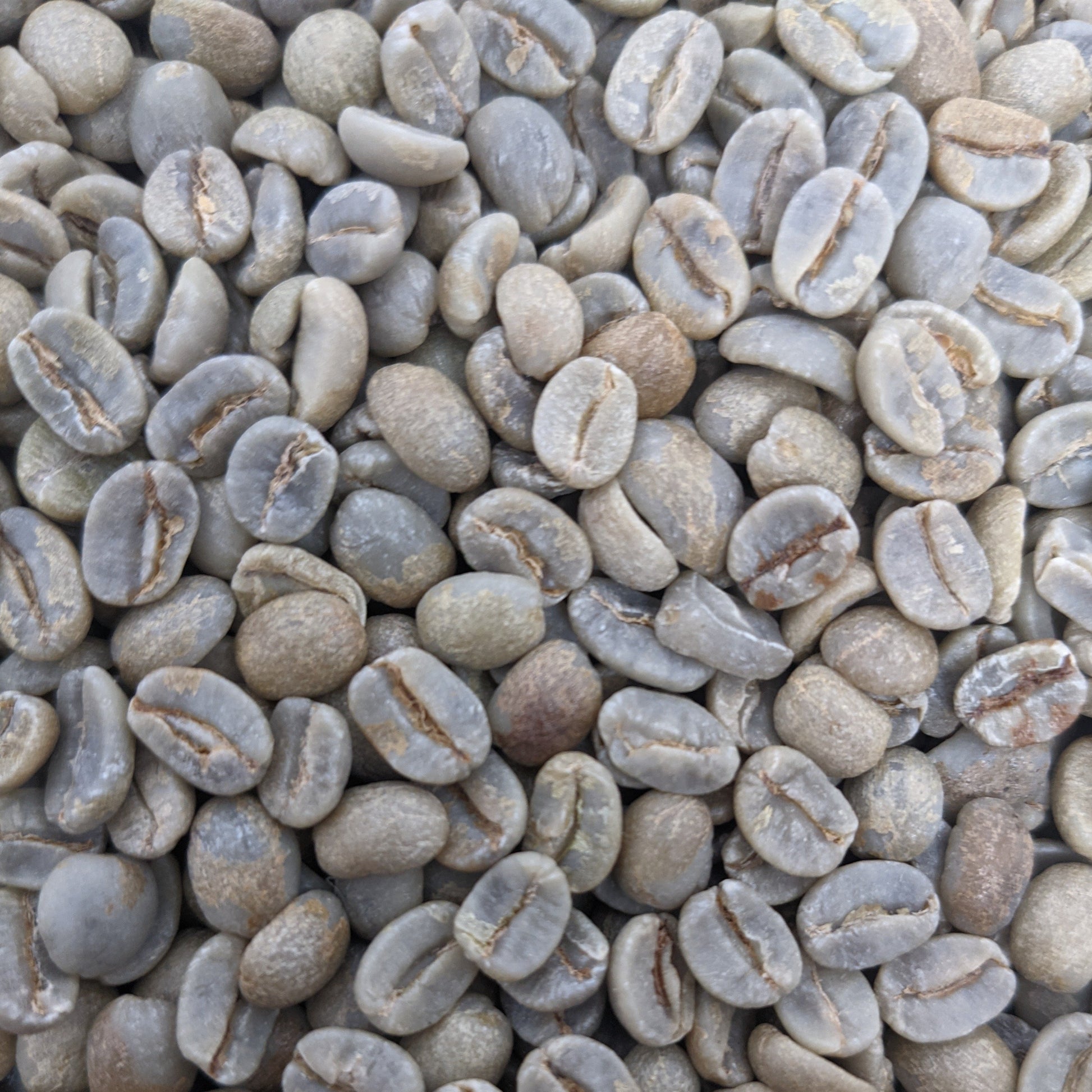 unroasted coffee beans from the Chapada de Minas region of Brazil