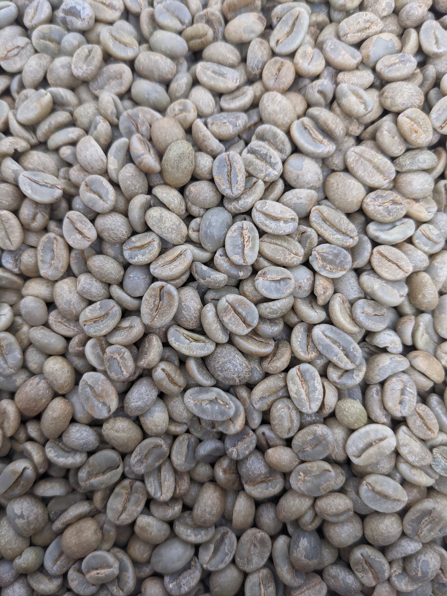 Rwanda Nyamasheke Gasharu Natural Green Coffee Beans