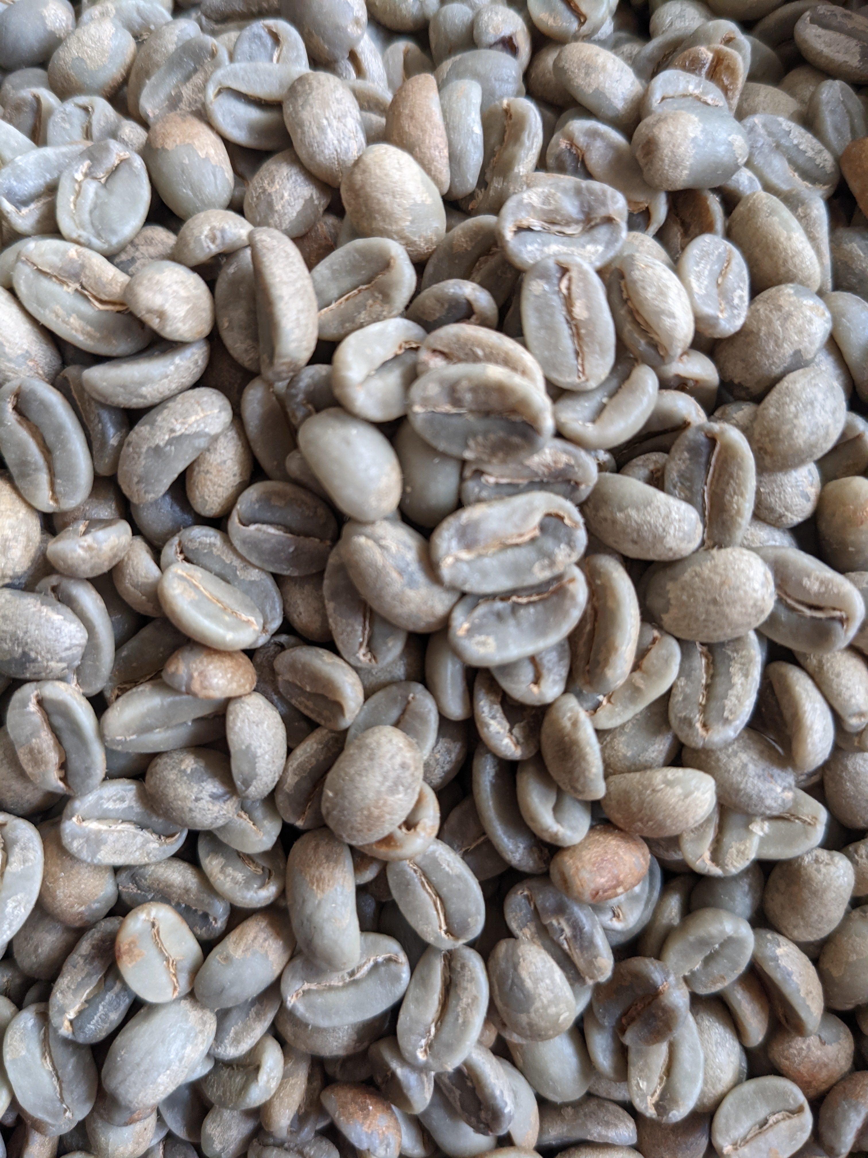 Best Green Coffee Beans Honduras Light Medium Roast Slack