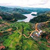 Rwanda Nyamasheke Gasharu Washed